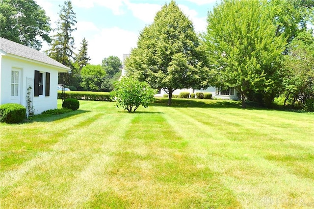 1271 Park Ave, Piqua, OH 45356 - photo 64