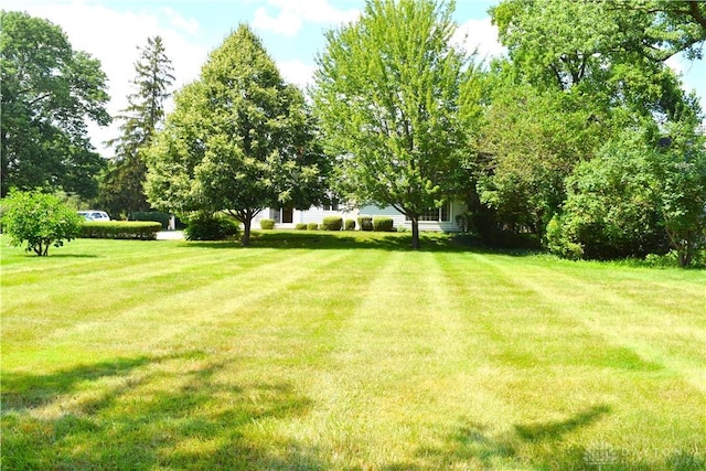 1271 Park Ave, Piqua, OH 45356 - photo 66