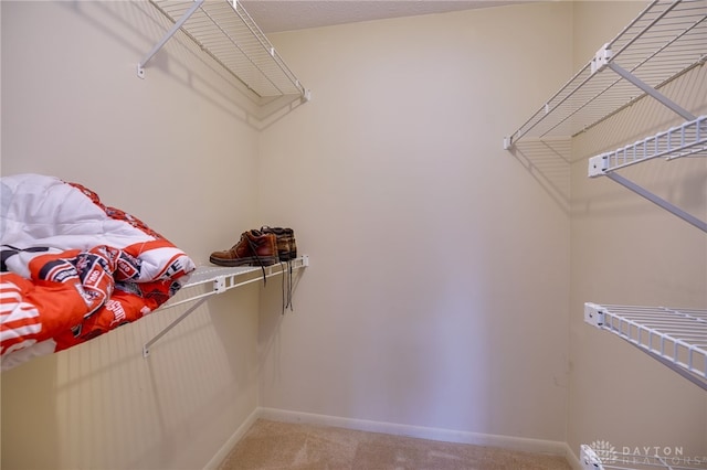 1311 Hollow Run Unit 6, Dayton, OH 45459 - walk in closet featuring light carpet