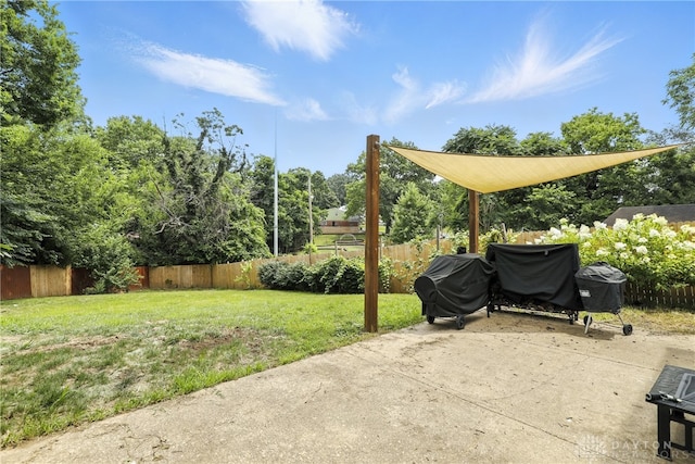 2594 Laura Ln, Norwood, OH 45212 - fenced backyard with a grill and a patio area
