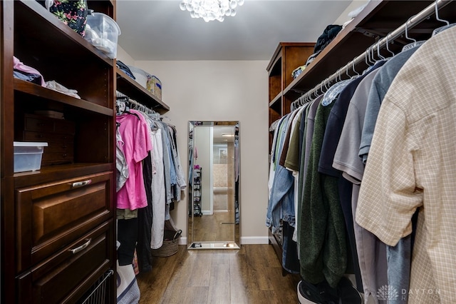 1817 El Camino Dr, Xenia, OH 45385 - spacious closet with dark wood finished floors