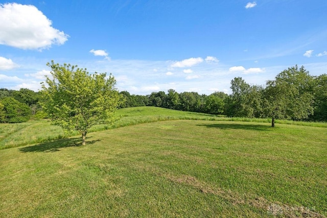 7373 Crowl Rd, Degraff, OH 43318 - view of grassy yard with a forest view