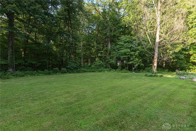 3072 Fowler Rd, Springfield, OH 45502 - view of green lawn with a view of trees