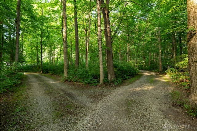 3072 Fowler Rd, Springfield, OH 45502 - view of dirt / gravel road with a forest view