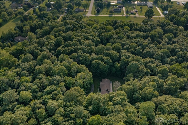 3072 Fowler Rd, Springfield, OH 45502 - view of property location featuring a forest