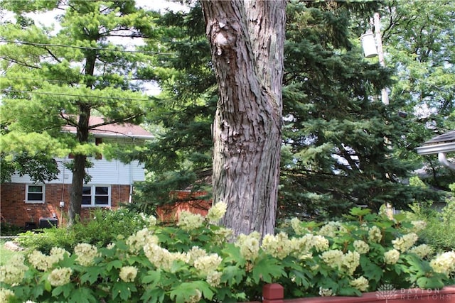 461 Poplar Grove Dr, Vandalia, OH 45377 - view of yard