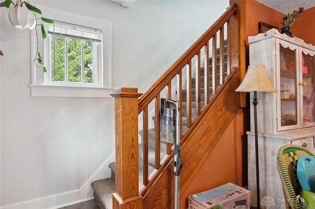 126 Cottage Pl, Springfield, OH 45503 - photo 15
