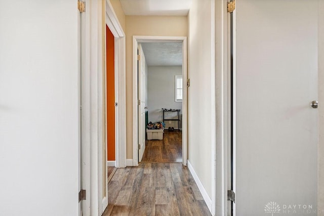 120 N Grant St, Covington, OH 45318 - hallway with wood finished floors and baseboards