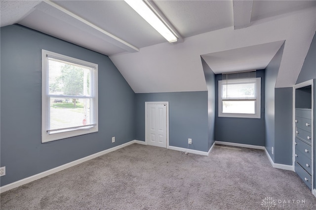 3521 E 4th St, Dayton, OH 45403 - bonus room featuring vaulted ceiling, plenty of natural light, and carpet flooring
