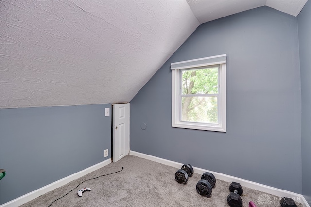 3521 E 4th St, Dayton, OH 45403 - additional living space with vaulted ceiling, carpet floors, and a textured ceiling