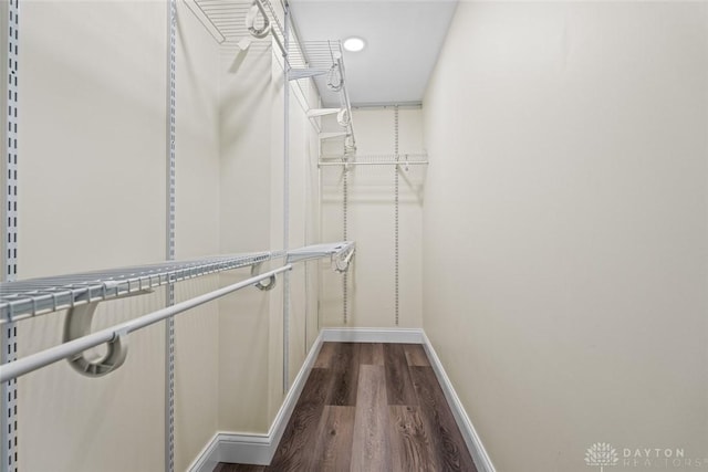 1695 Winterstone Ct, Washington Twp, OH 45458 - spacious closet with dark wood finished floors