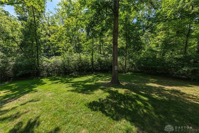 1908 Court Donegal, Middletown, OH 45042 - view of grassy yard with a forest view