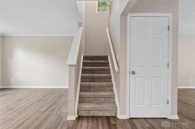 366 Mary Lou Cir, Beavercreek, OH 45440 - photo 23
