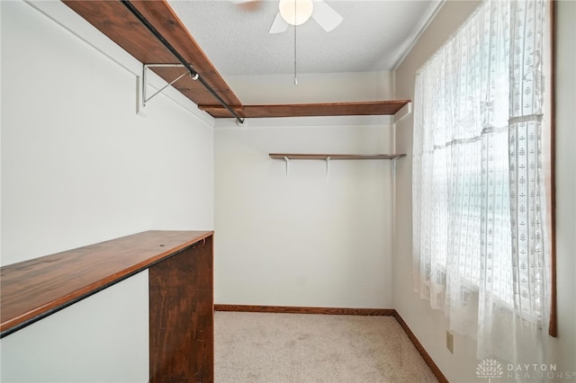 500 Smalley Blvd, Hamilton, OH 45013 - walk in closet with carpet flooring and ceiling fan