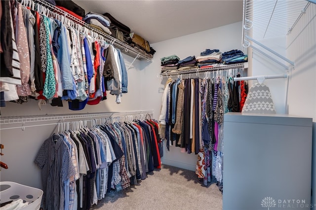 598 Twilight Ln, Dayton, OH 45440 - spacious closet with carpet