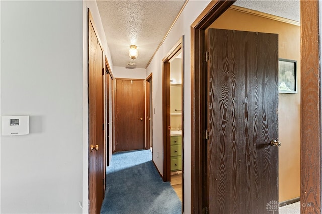7771 Brams Hill Dr, Dayton, OH 45459 - photo 15