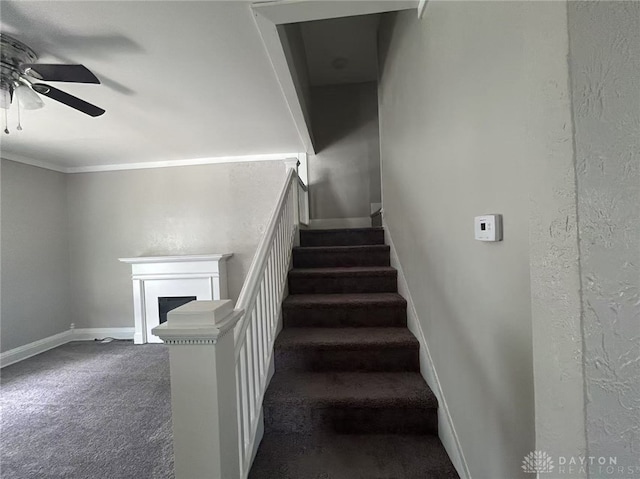 212 Maple St, Sidney, OH 45365 - photo 15