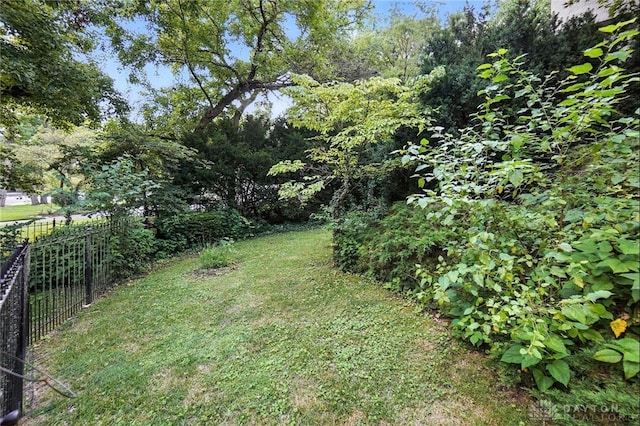 715 E Schantz Ave, Oakwood, OH 45419 - view of yard