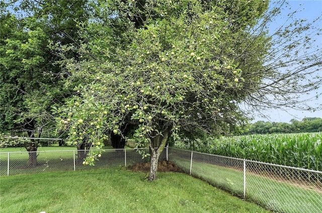 2042 Hilltop Rd, Xenia, OH 45385 - view of yard