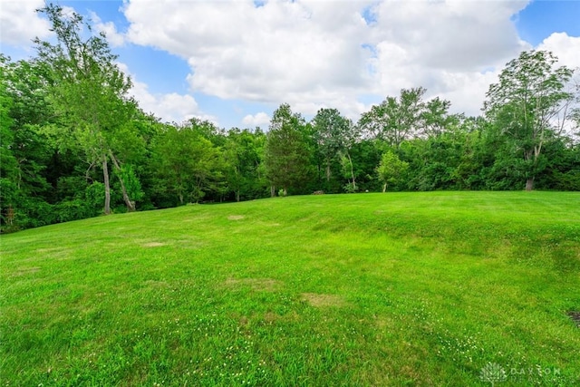 4230 Wagner Rd, Dayton, OH 45440 - view of green lawn featuring a forest view