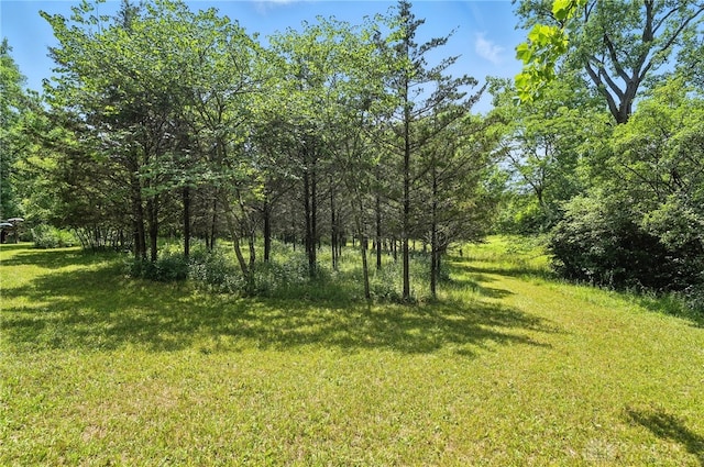 7687 Normandy Ln, Dayton, OH 45459 - photo 70