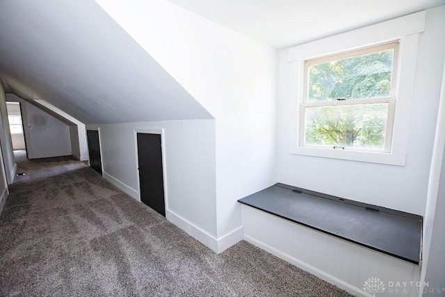 1151 Brookview Ave, Dayton, OH 45409 - additional living space with carpet flooring and vaulted ceiling