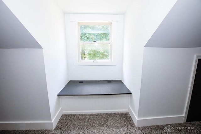 1151 Brookview Ave, Dayton, OH 45409 - additional living space featuring carpet flooring