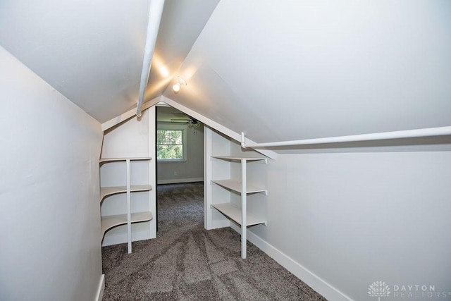 1151 Brookview Ave, Dayton, OH 45409 - spacious closet with carpet and vaulted ceiling