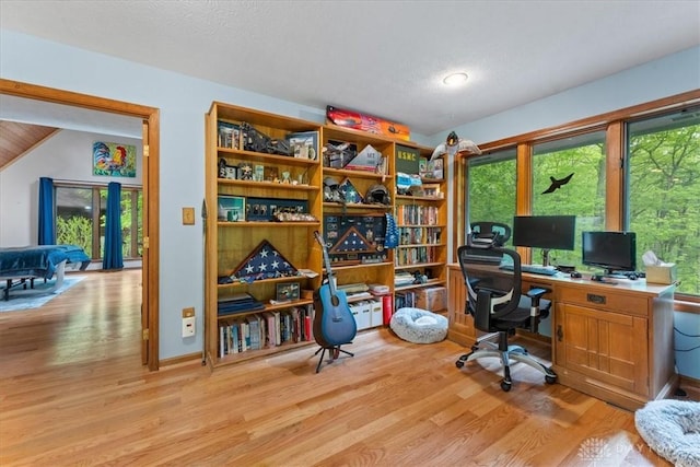 10370 Old 3c Hwy, Clarksville, OH 45113 - office area with light wood-style floors and plenty of natural light