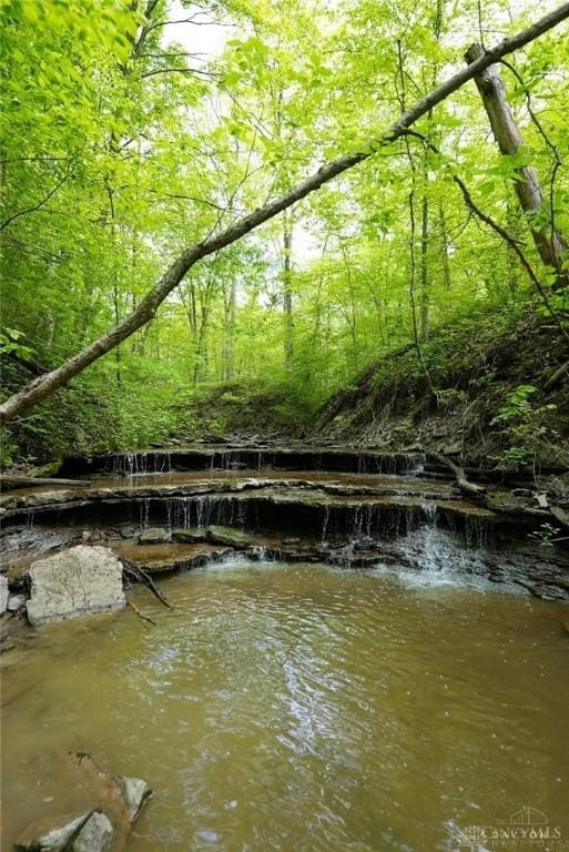10370 Old 3c Hwy, Clarksville, OH 45113 - dock area with a forest view