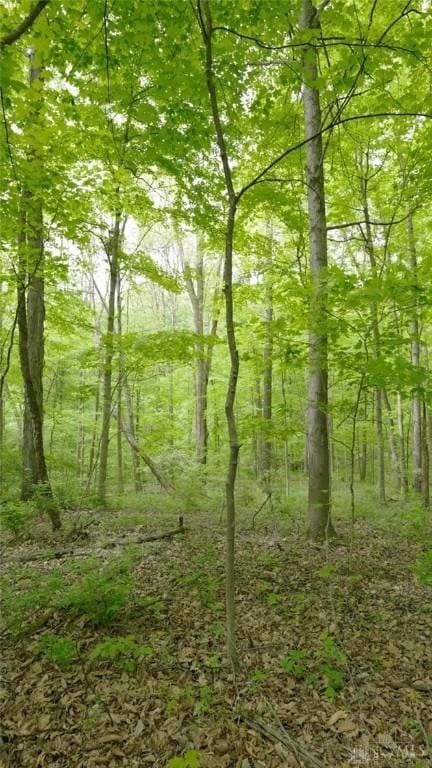 10370 Old 3c Hwy, Clarksville, OH 45113 - view of woods