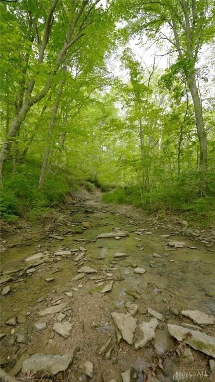 10370 Old 3c Hwy, Clarksville, OH 45113 - view of nature