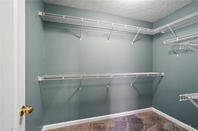 9266 Great Lakes Cir, Washington Twp, OH 45458 - spacious closet with carpet flooring