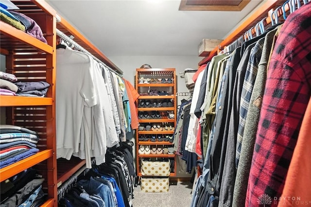 95 Sycamore Creek Dr, Springboro, OH 45066 - walk in closet with carpet floors and attic access