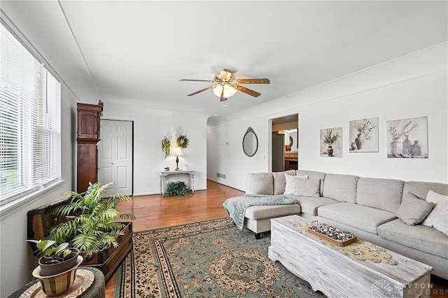 3755 Everett Dr, Loveland, OH 45140 - living room with a ceiling fan, wood finished floors, and arched walkways