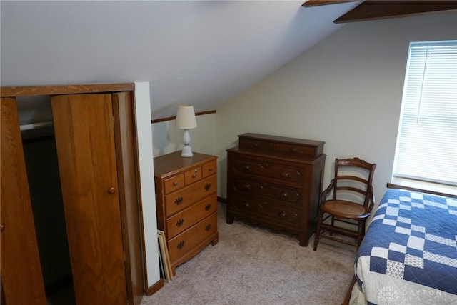 203 Chestnut St, Laura, OH 45337 - photo 20