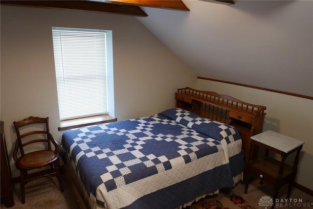 203 Chestnut St, Laura, OH 45337 - photo 21