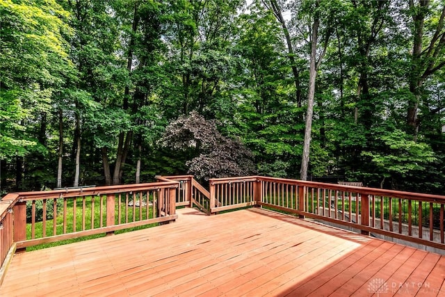 1556 Sycamore Ridge Dr, Hamilton Twp, OH 45039 - photo 50