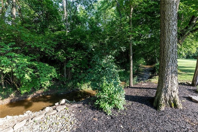 1097 Trudy Ct, Clearcreek Twp, OH 45036 - view of local wilderness