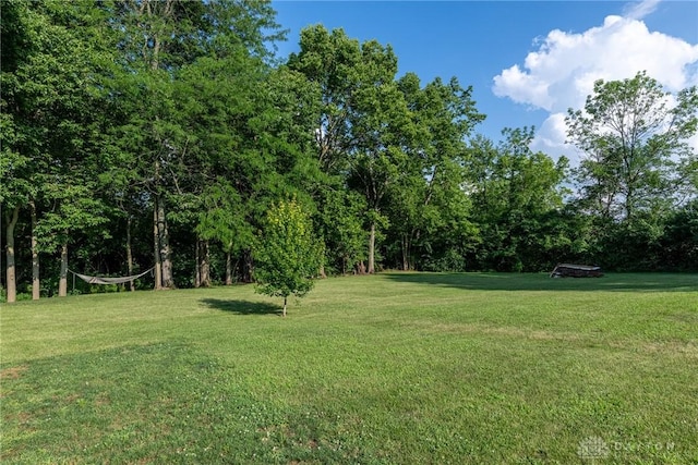 1097 Trudy Ct, Clearcreek Twp, OH 45036 - view of grassy yard