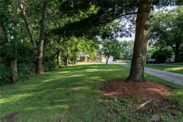 1097 Trudy Ct, Clearcreek Twp, OH 45036 - view of grassy yard