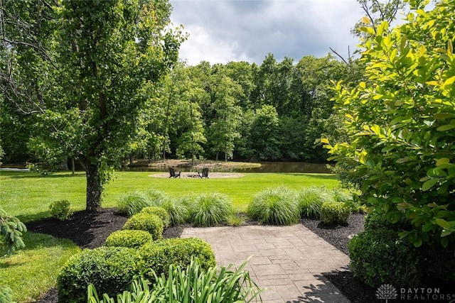 339 S Nixon Camp Rd, Oregonia, OH 45054 - photo 64