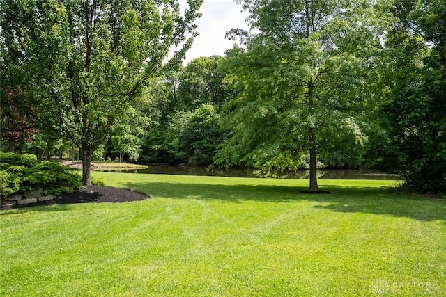 339 S Nixon Camp Rd, Oregonia, OH 45054 - photo 73