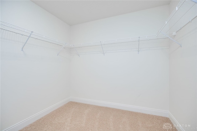 10312 Tice St, Washington Twp, OH 45458 - photo 35