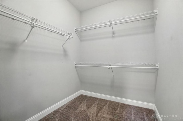 1310 Bourdeaux Way, Clearcreek Twp, OH 45458 - walk in closet featuring carpet floors