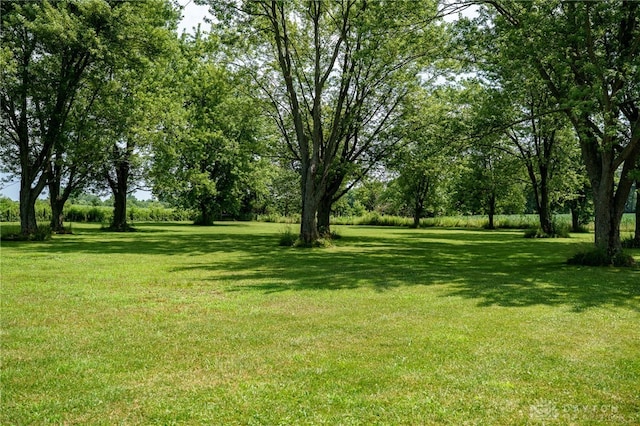 12501 Christiansburg Jackson Rd, Saint Paris, OH 43072 - photo 42