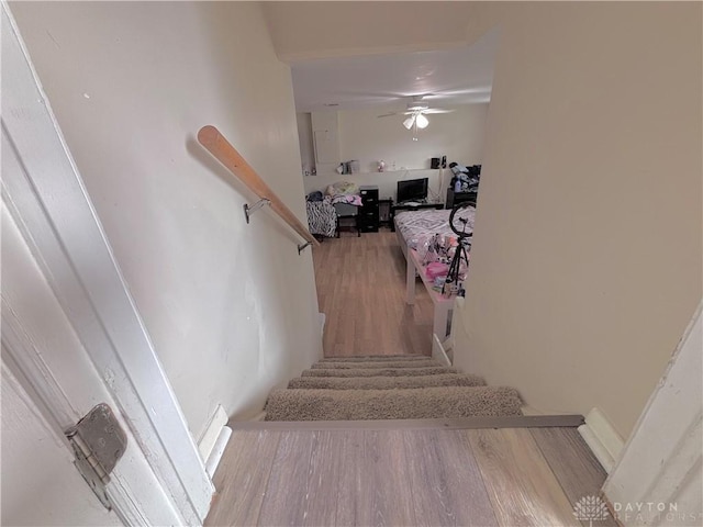 11629 Pippin Rd, Colerain Twp, OH 45231 - stairs featuring wood finished floors and ceiling fan