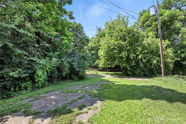 113-115 N Florence St, Springfield, OH 45503 - photo 54