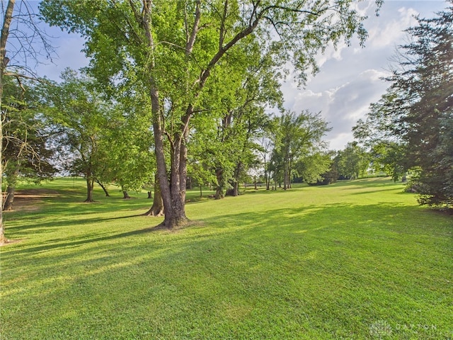 693 Friday Rd, Arcanum, OH 45304 - photo 36