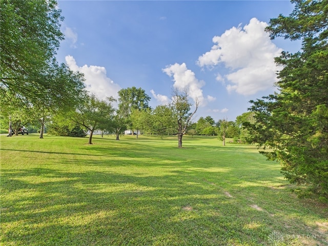 693 Friday Rd, Arcanum, OH 45304 - photo 38